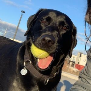 Meet your Posher, Felipe